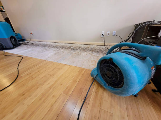 Professional Ceiling Water Damage Repair technician working in Sparta, NC